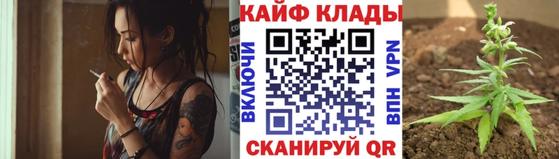 Где продают наркотики Кировград ГАШИШ  КОКАИН  Меф 