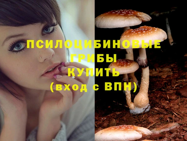 не бодяженный Абинск